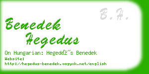 benedek hegedus business card